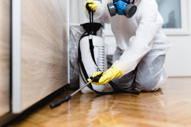 Best Flea Control Services  in Elkhorn, CA