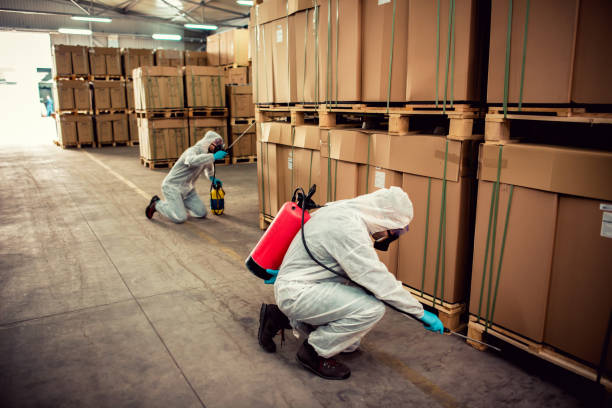 Professional Pest Control in Elkhorn, CA
