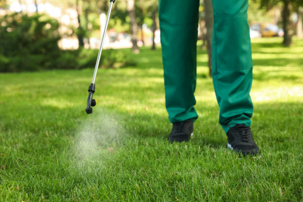 Best Bed Bug Extermination  in Elkhorn, CA