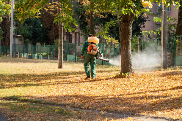 Best Affordable Pest Control Services  in Elkhorn, CA
