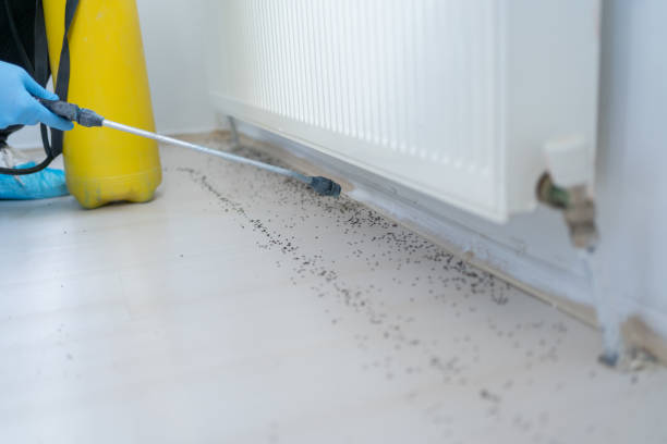 Best Residential Pest Control  in Elkhorn, CA