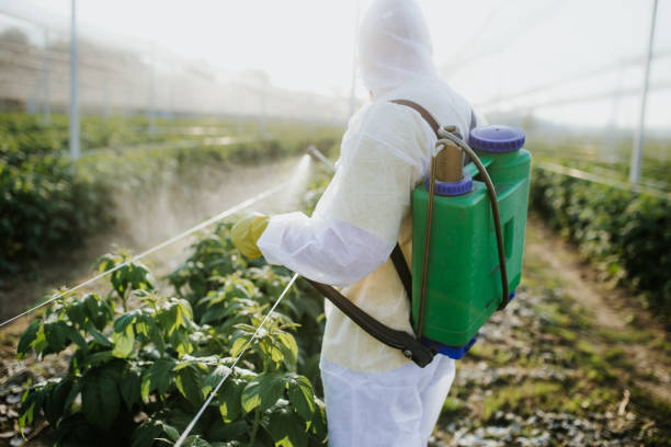 Best Pest Control for Homes  in Elkhorn, CA